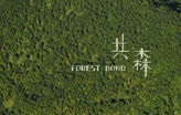 齐柏林空间年度特展 ——共森 Forest Bond